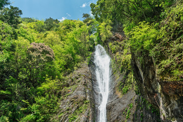 Fototapeta na wymiar 身延　見神の滝の風景