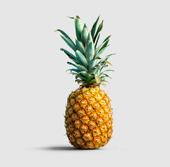 Fototapeta premium One pineapple on a solid color background