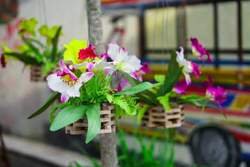 Hanging flowers in a vase hanging on a rope.