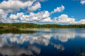 country lake in summer