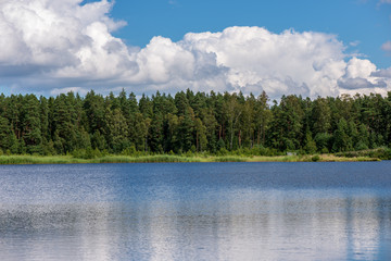 country lake in summer
