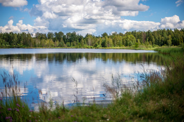 country lake in summer