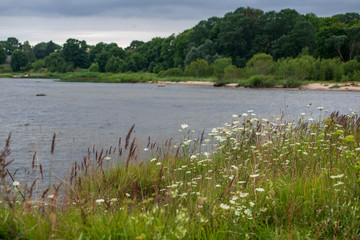 country lake in summer