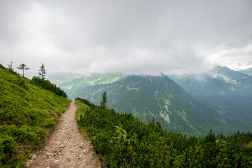 hiking trails in slovakia in rainy summer day