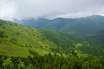 Fototapeta premium hiking trails in slovakia in rainy summer day