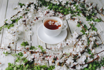 Cup of green tea and spring apricot blossom on a white wooden background. Rustic, close up, green leaves.