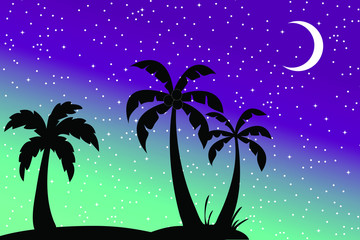 Fototapeta na wymiar Tropical Beach and Palm Trees Silhouette Travel Holiday Vacation Concept.