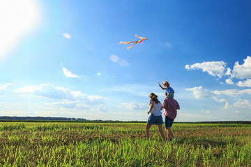 Mother, father and daughter are flying a kite in the field. back view, copy space.
