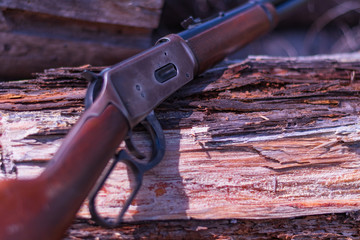 Antique lever action rifle with a downed tree