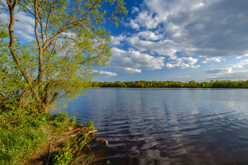 Obraz premium beautiful sunset by the river under tree leaves and branches. calm water