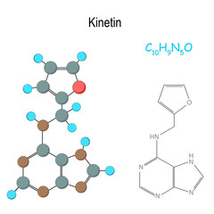 Kinetin. Chemical structural formula and model of hormone molecule. C10H9N5O