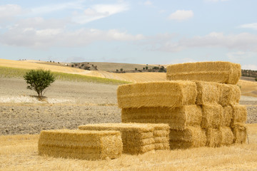 Stack of straw bales in a sunny landscape