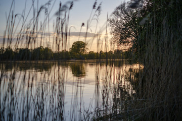 beautiful sunset by the river under tree leaves and branches. calm water