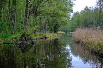 small forest river with calm water and reflections from trees in it