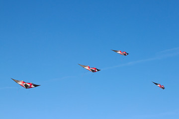 Kite flying on a sunny day