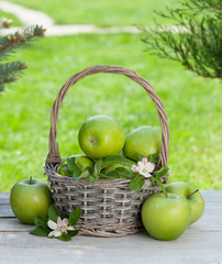 Fresh garden apples in basket