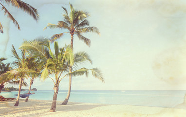 Fototapeta na wymiar Coconut tree on the sky background- - retro styled picture