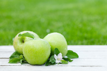 Fresh garden apples