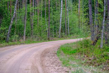 Fototapeta premium dusty gravel road in country summer time