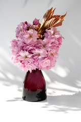 Pink cherry blossom twigs in vase on white background. Sakura in a glass jar.