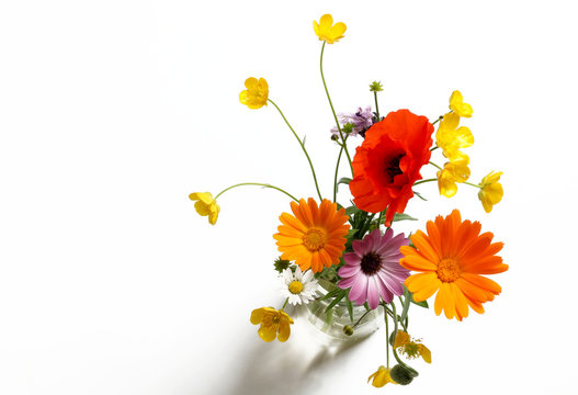 Fiori Di Campo" Immagini - Sfoglia 369 foto, vettoriali e video Stock |  Adobe Stock