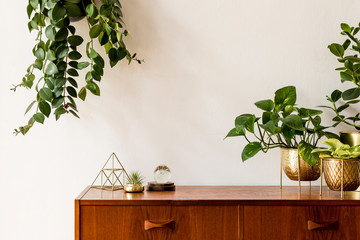 Nice and retro space of home interior with  vintage cupboard with elegant gold accessories, a lot of plants in stylish pots. Cozy home decor. Minimalistic concept. Home garden. Copy space. Template