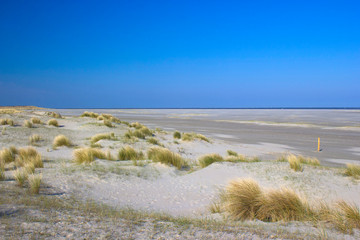 the dunes, Renesse, Zeeland, the Netherlands