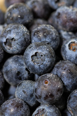 fresh juicy blueberries, closeup vertical