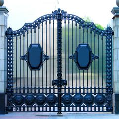 Beautiful decorative classic automatic metal gates. Wrought iron gates made of cast metal. Decor of...