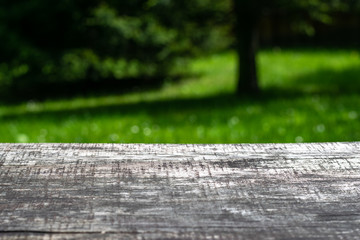Fototapeta na wymiar Blurred park, natural background