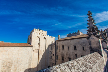 Palais des Papes in Avignon, France