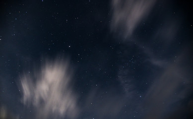 Fototapeta na wymiar Night Sky in Grayson Highlands State Park in Jefferson National Forest in Virginia 