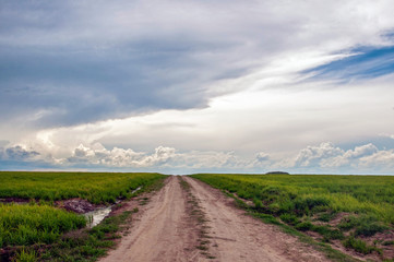 road in the field