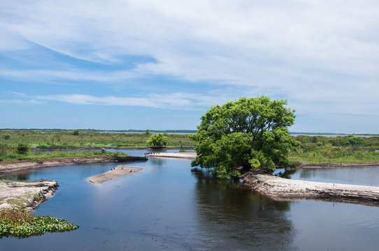 landscape with river