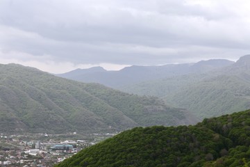 Green forest and mountains