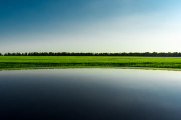 landscape with lake and blue sky