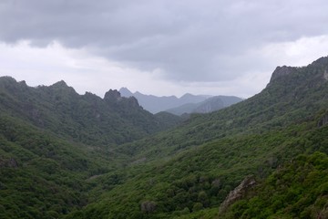 Green forest and mountains