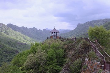 Green forest and mountains