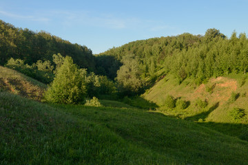 Fototapeta na wymiar Summer evening landscape with green forest on the hillsides and blue sky