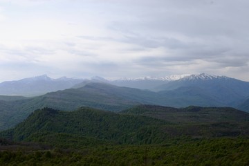 Green forest and mountains