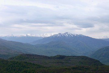 Green forest and mountains