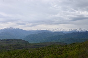 Green forest and mountains