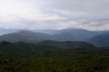 Green forest and mountains