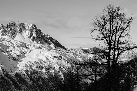 Dans les Alpes &agrave; Chamonix