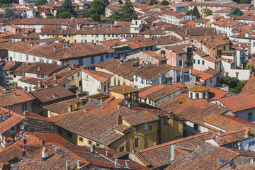 Fototapeta na wymiar Rooftops of houses in the historic centre of Lucca, Tuscany, Italy