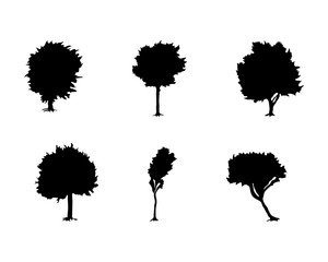 Trees set of black silhouette on white background. Collection various forms. Vector illustration