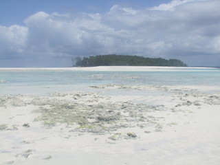 Mnemba Island, Zanzibar