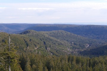 Wanderung im Schwarzwald