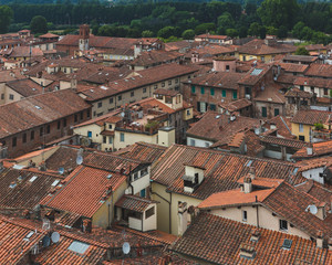 Fototapeta na wymiar Rooftops of houses in the historic centre of Lucca, Tuscany, Italy