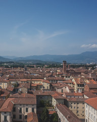 Towers over houses of historic centre of Lucca, Italy